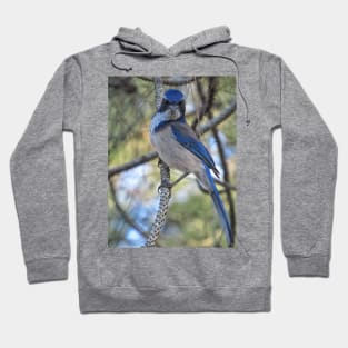 I am birdman Hoodie